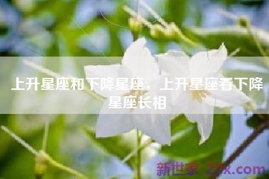 上升星座和下降星座，上升星座看下降星座长相