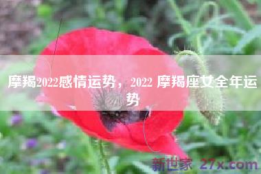 摩羯2022感情运势，2022 摩羯座女全年运势