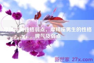 摩羯座男性格弱点，摩羯座男生的性格脾气及弱点