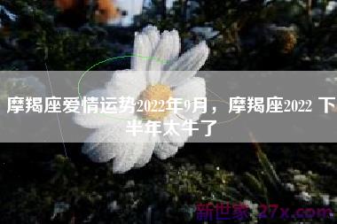 摩羯座爱情运势2022年9月，摩羯座2022 下半年太牛了