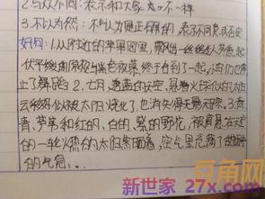 句子的赏析字词句 优美句子摘抄加赏析