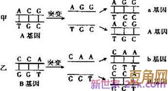 马组词句 马组词语有哪些