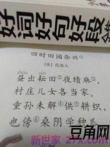 关于谢谢的词句 表达感谢的句子有哪些