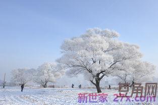 形容雾凇雪景词句 赞美雾凇雪景的诗句