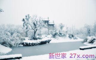 关于大雪的词句