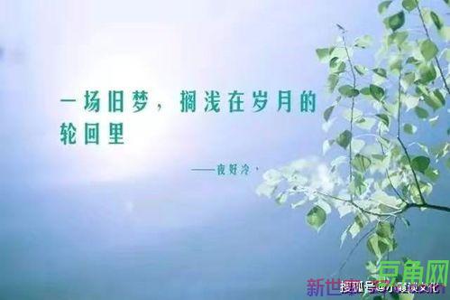 评价不好的朋友词句 评价别人优秀的句子